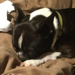 Meet your Posher, Macie